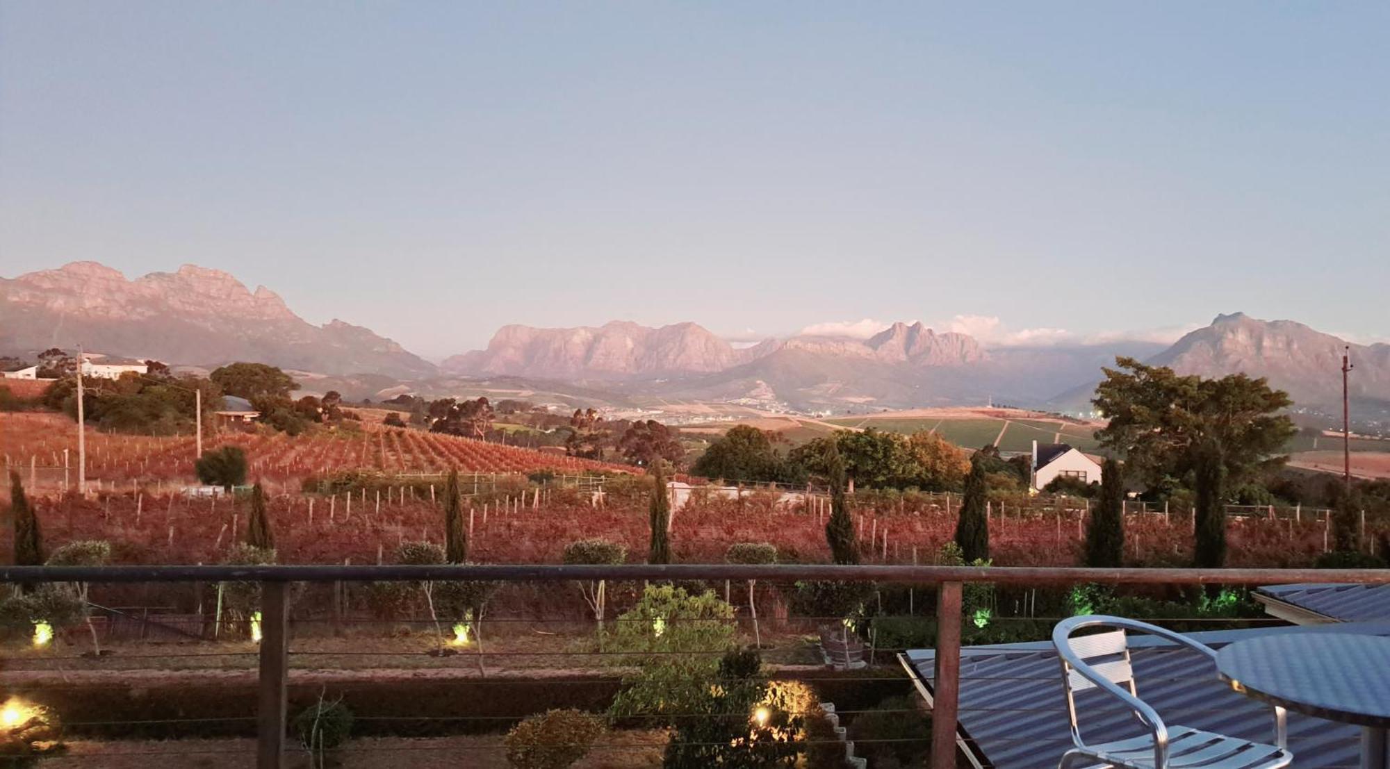 Appartamento Domaine Coutelier Municipalità locale di Municipalità locale di Stellenbosch Esterno foto