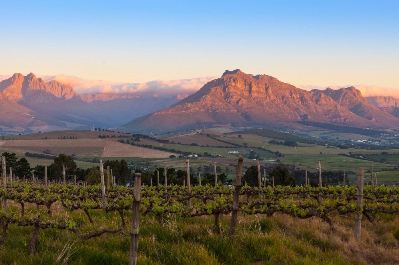 Appartamento Domaine Coutelier Municipalità locale di Municipalità locale di Stellenbosch Esterno foto