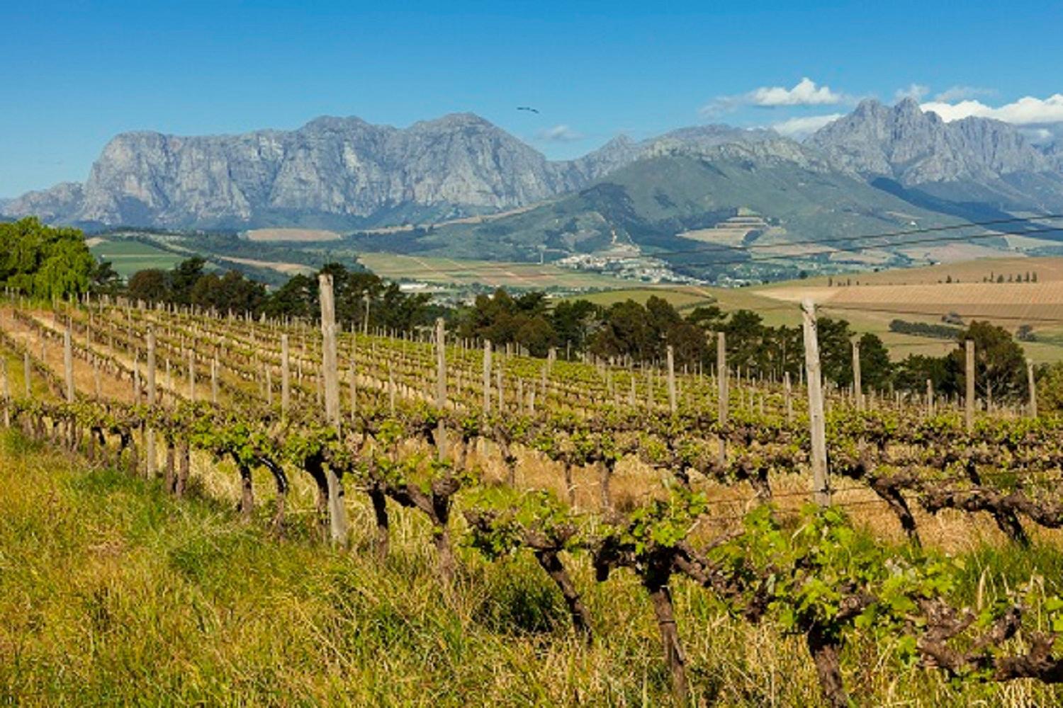 Appartamento Domaine Coutelier Municipalità locale di Municipalità locale di Stellenbosch Esterno foto