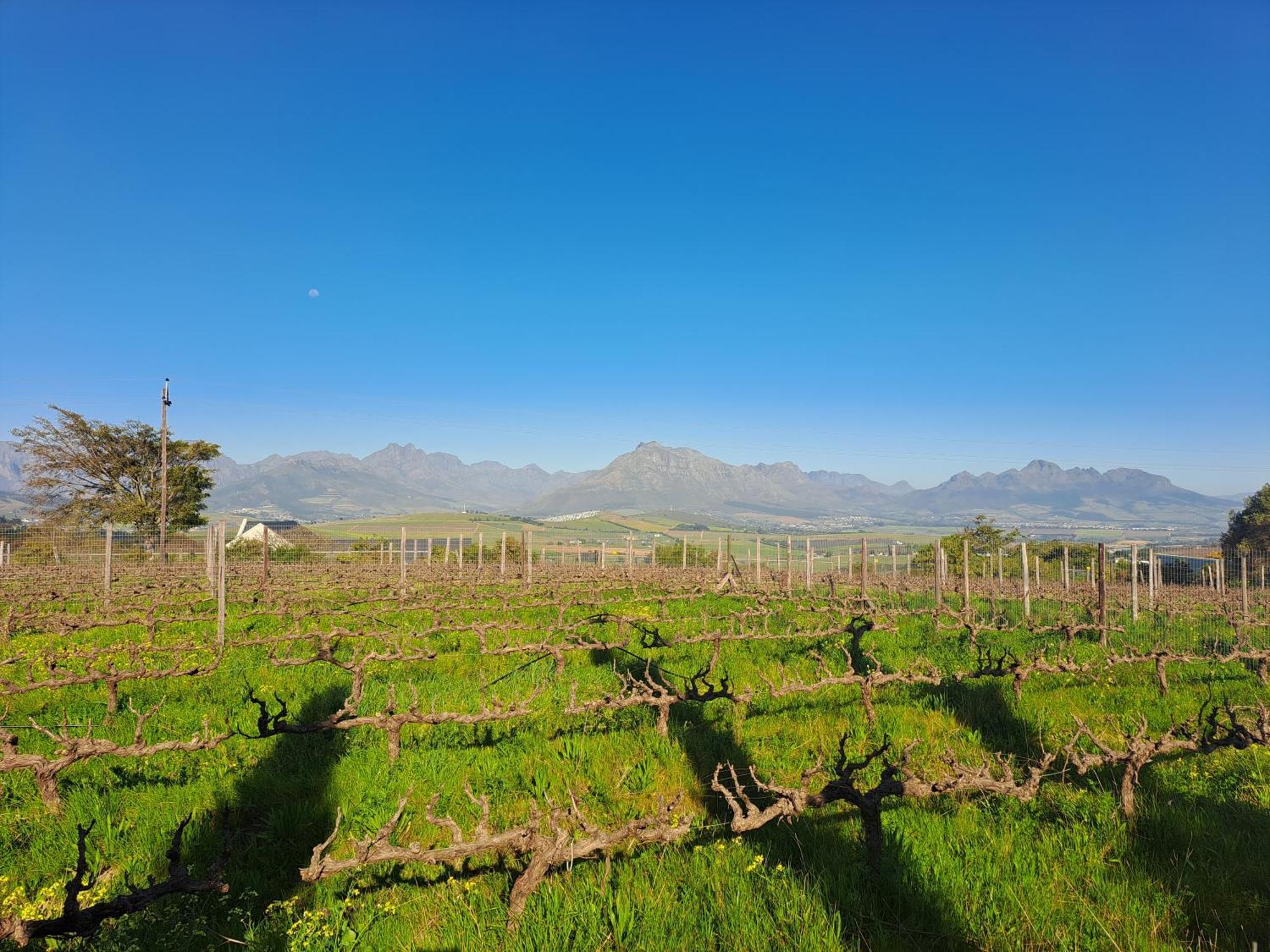 Appartamento Domaine Coutelier Municipalità locale di Municipalità locale di Stellenbosch Camera foto